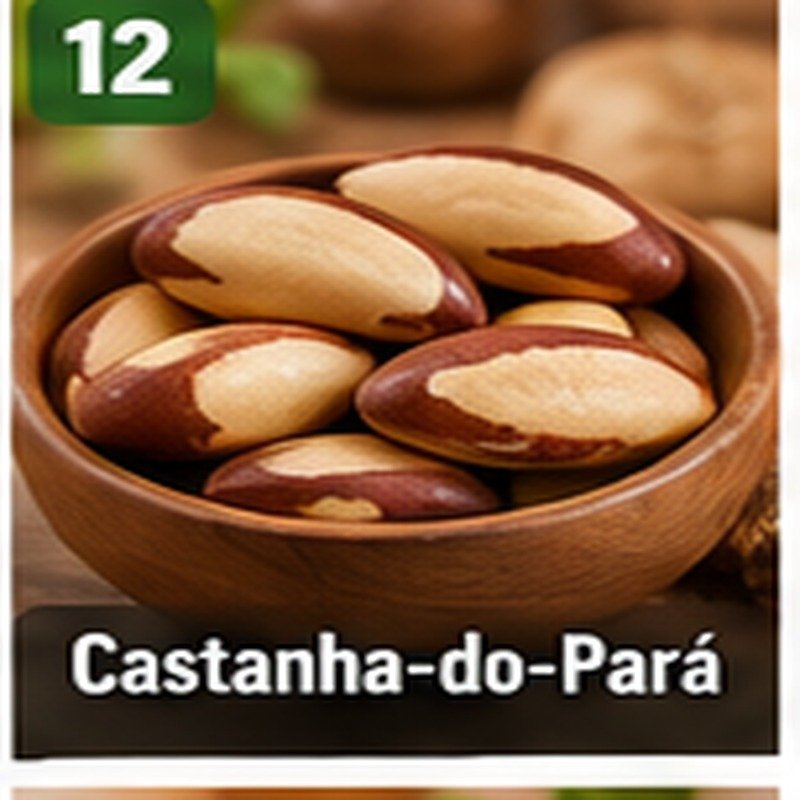 Castanha-do-Pará